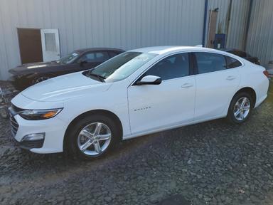 Chevrolet Malibu Lt 2024