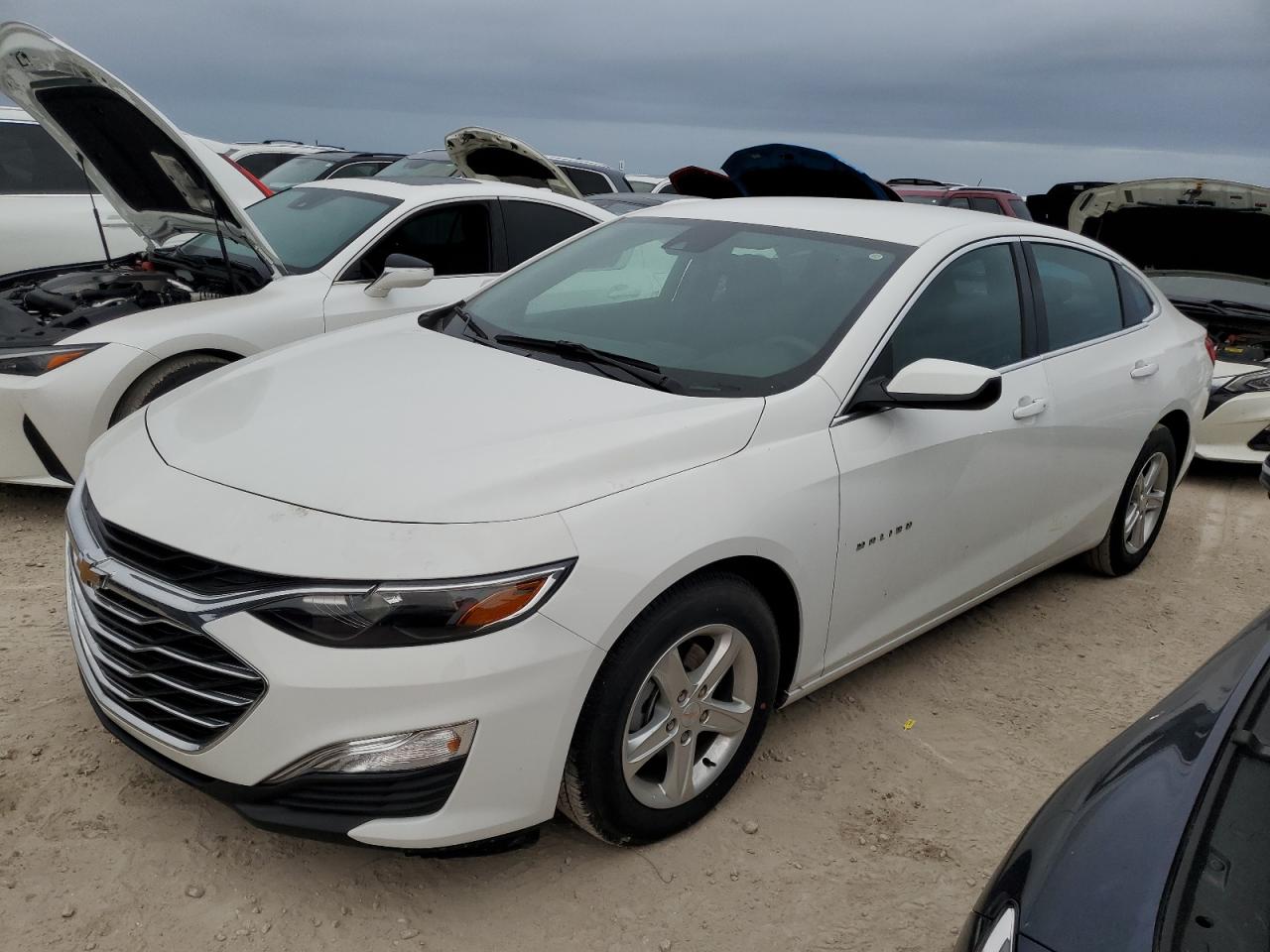 CHEVROLET MALIBU LS 2024