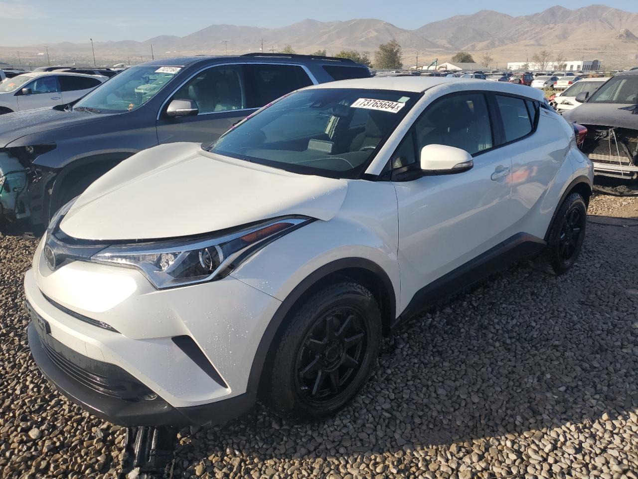 TOYOTA C-HR XLE 2019