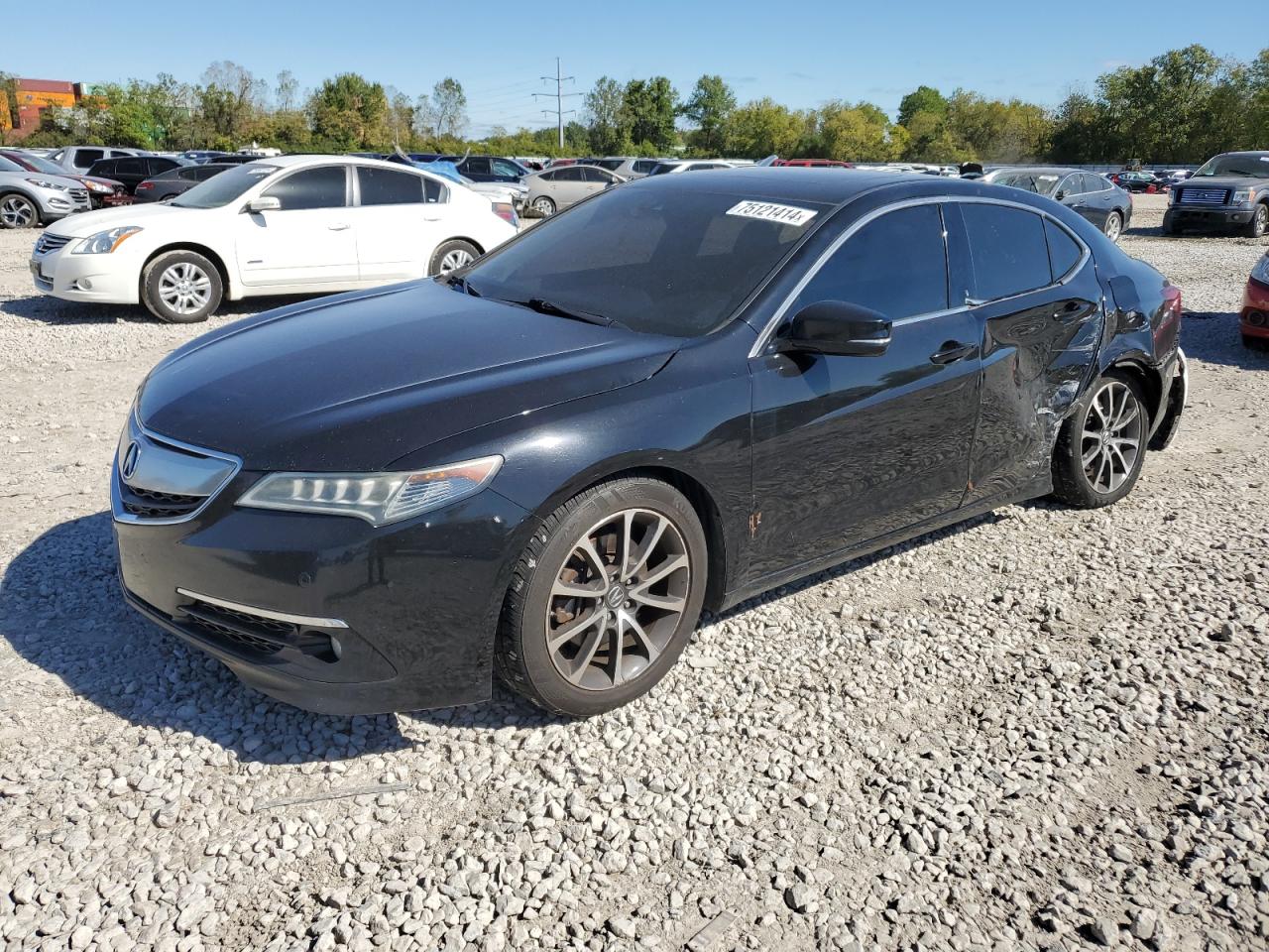 ACURA TLX ADVANC 2015