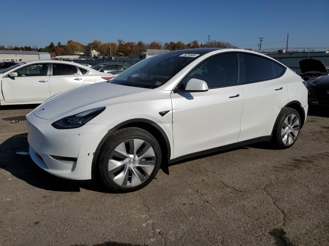 TESLA MODEL Y 2023