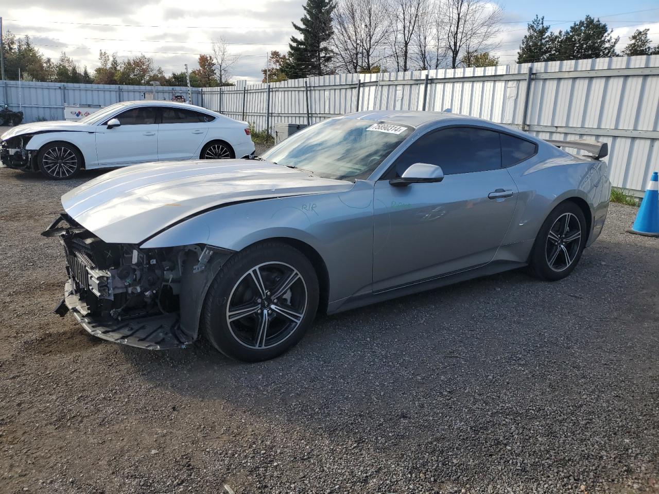 FORD MUSTANG 2024