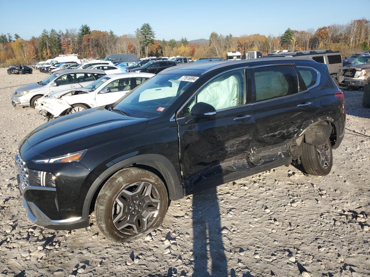 HYUNDAI SANTA FE L 2021