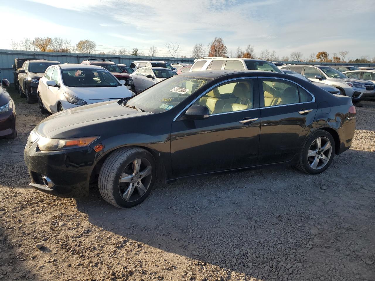 ACURA TSX 2014