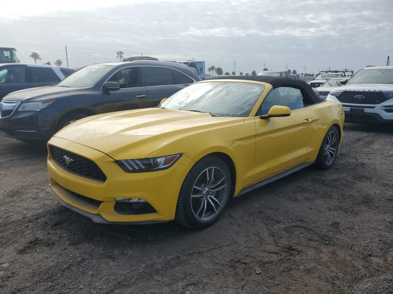 FORD MUSTANG 2017