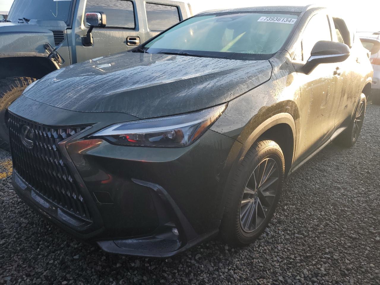 Lexus Nx 250 2022