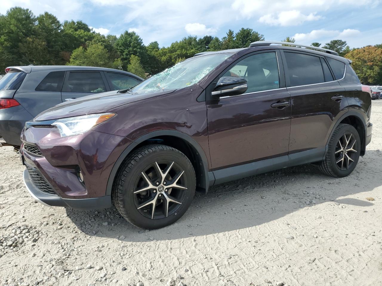 TOYOTA RAV4 SE 2016