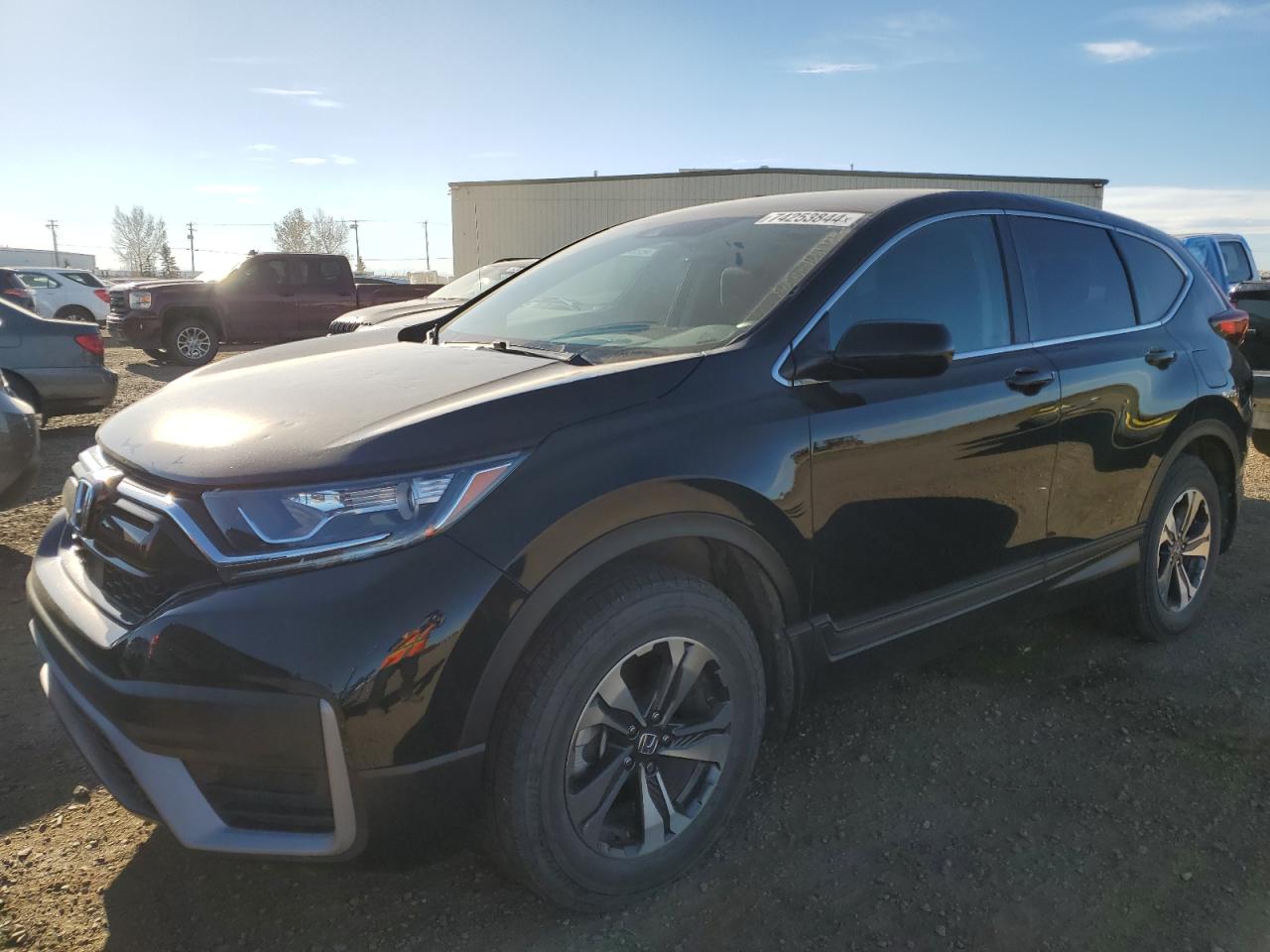 HONDA CR-V LX 2021