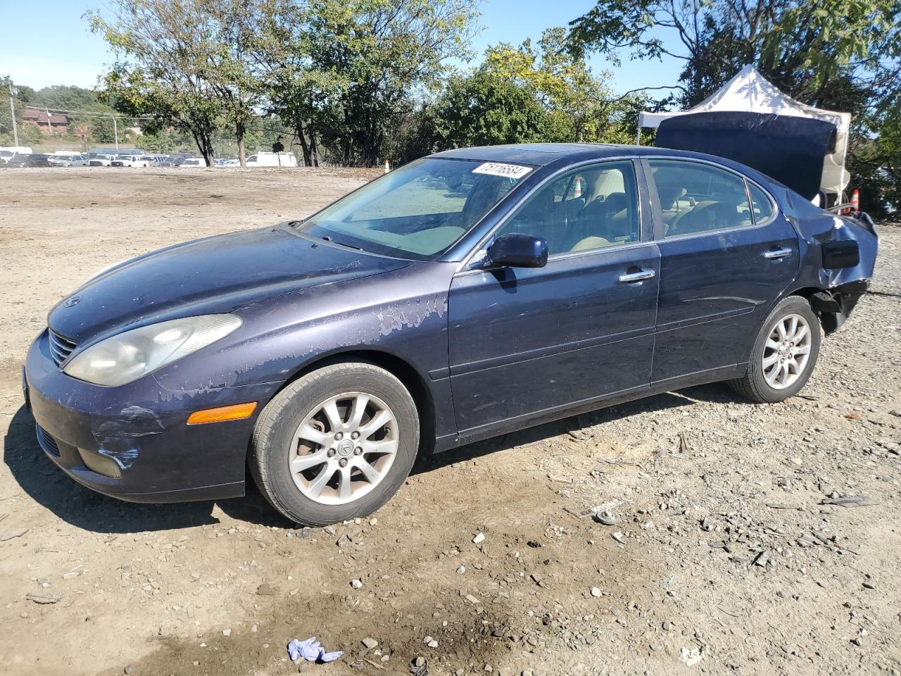 LEXUS ES 300 2002