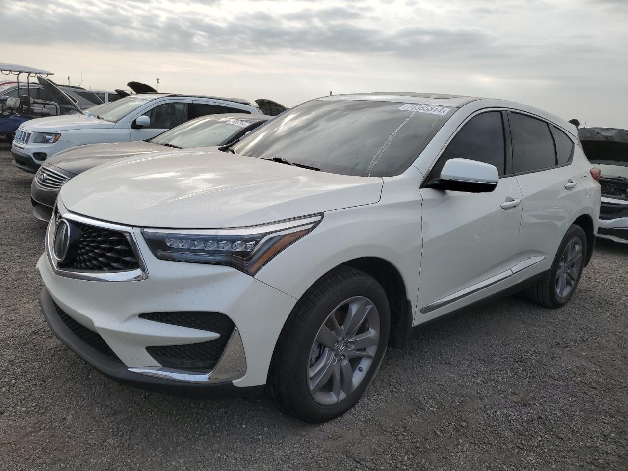 ACURA RDX ADVANC 2019