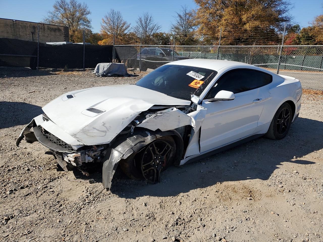FORD MUSTANG 2019