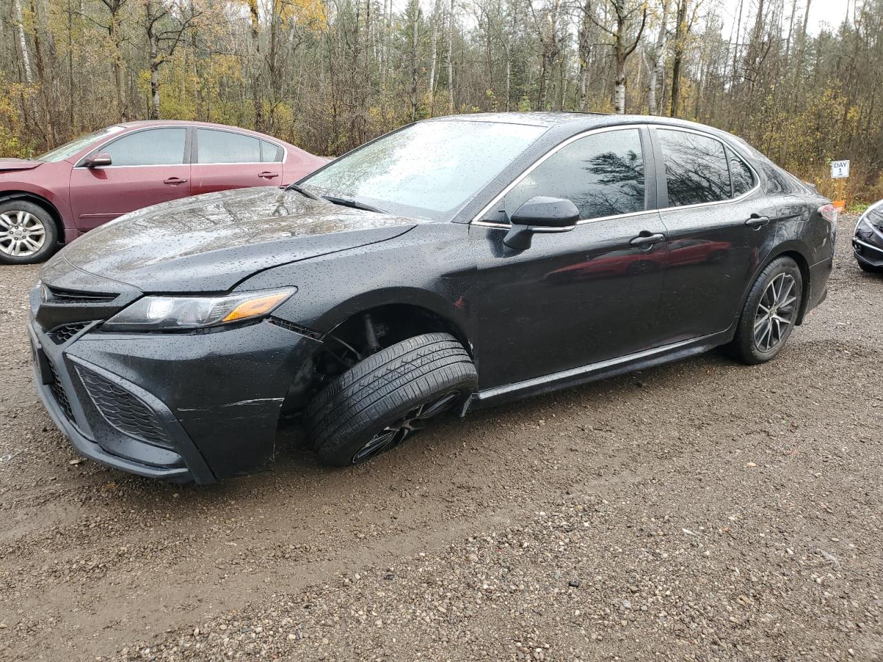 TOYOTA CAMRY NIGH 2021