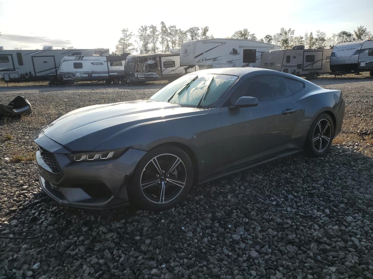 FORD MUSTANG 2024