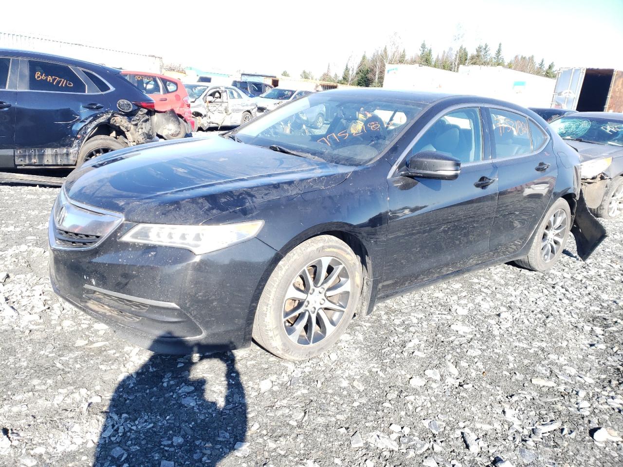 ACURA TLX 2015