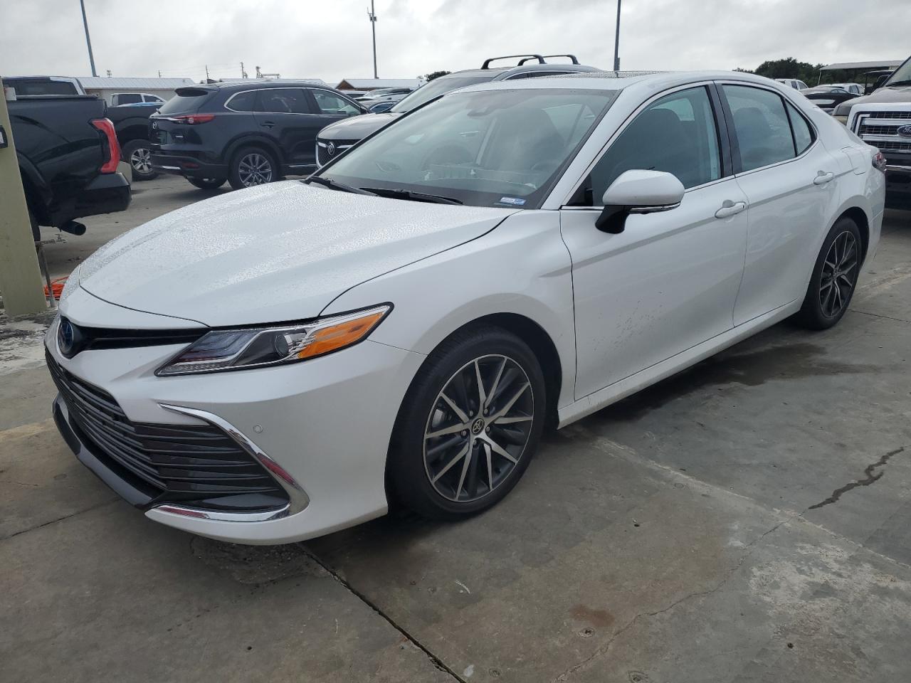TOYOTA CAMRY XLE 2023