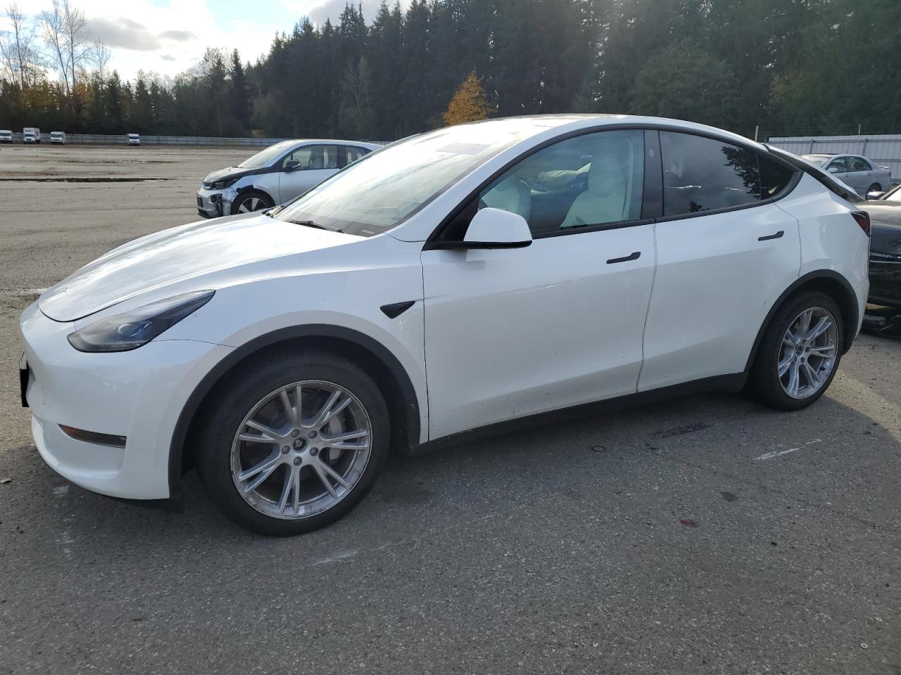 TESLA MODEL Y 2023