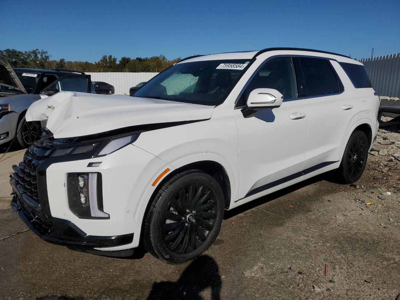 HYUNDAI PALISADE C 2024