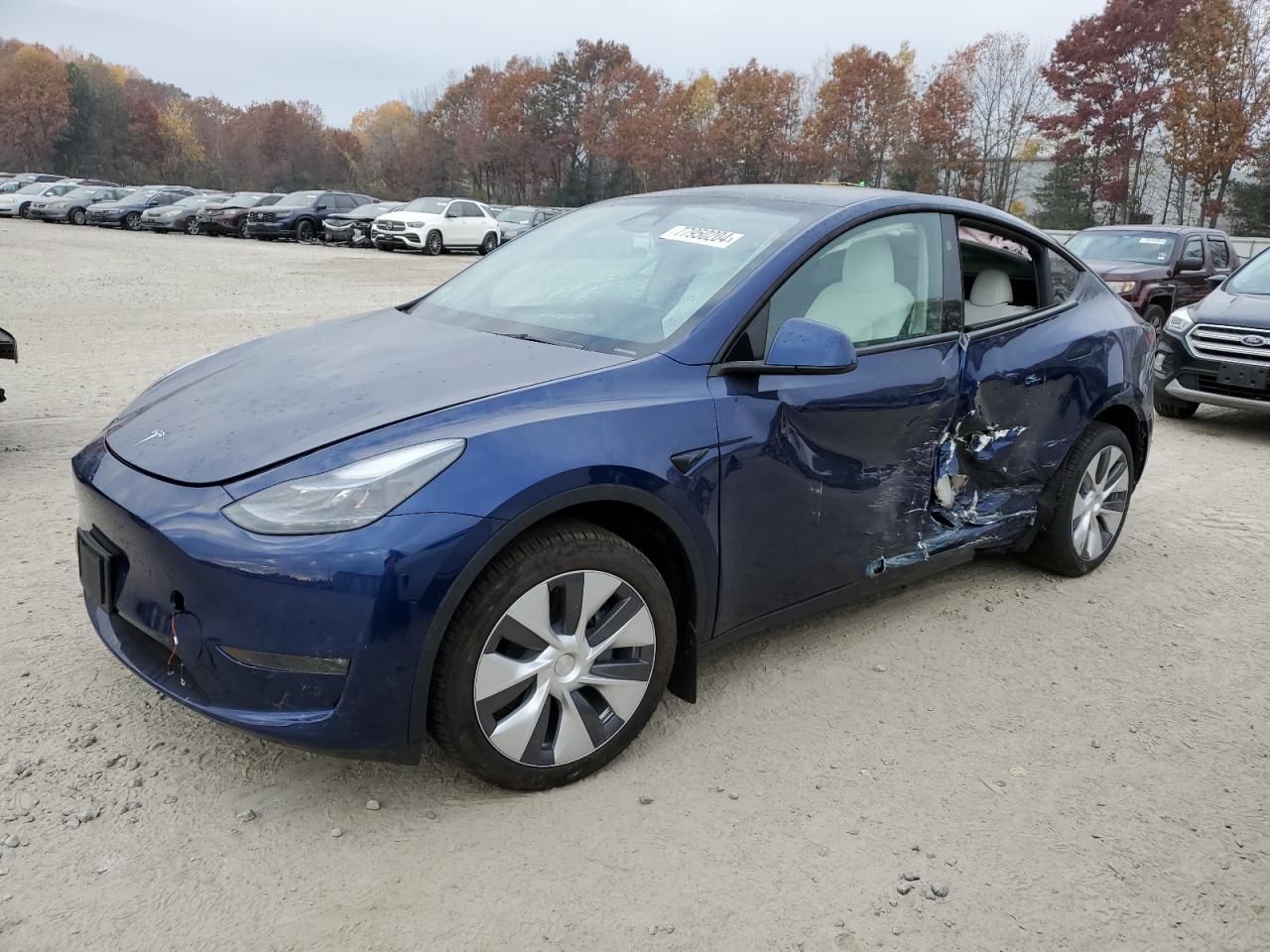 TESLA MODEL Y 2024