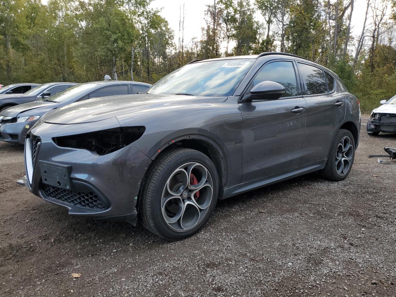 ALFA ROMEO STELVIO TI 2019