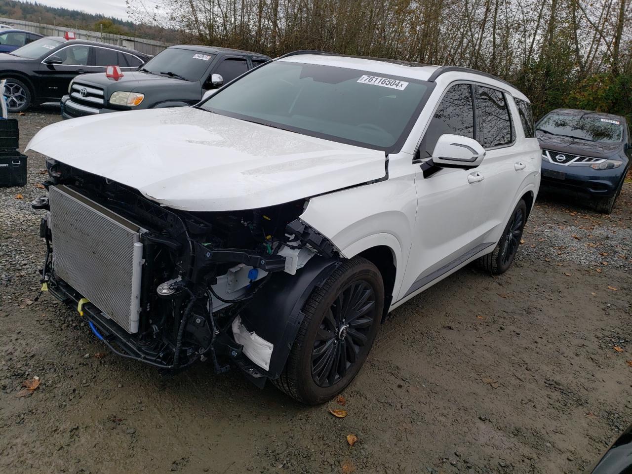 HYUNDAI PALISADE C 2024