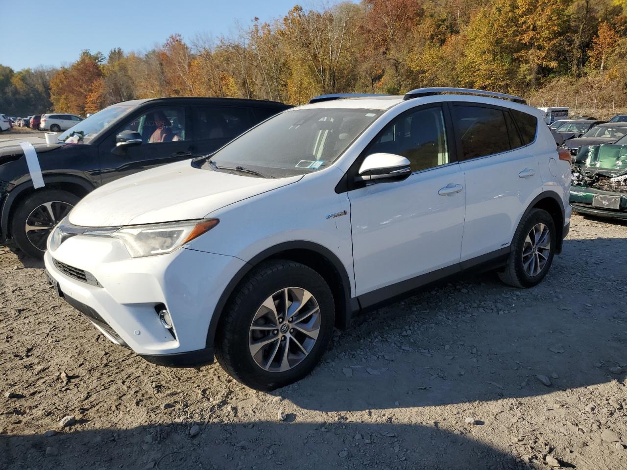 TOYOTA RAV4 HV XL 2016