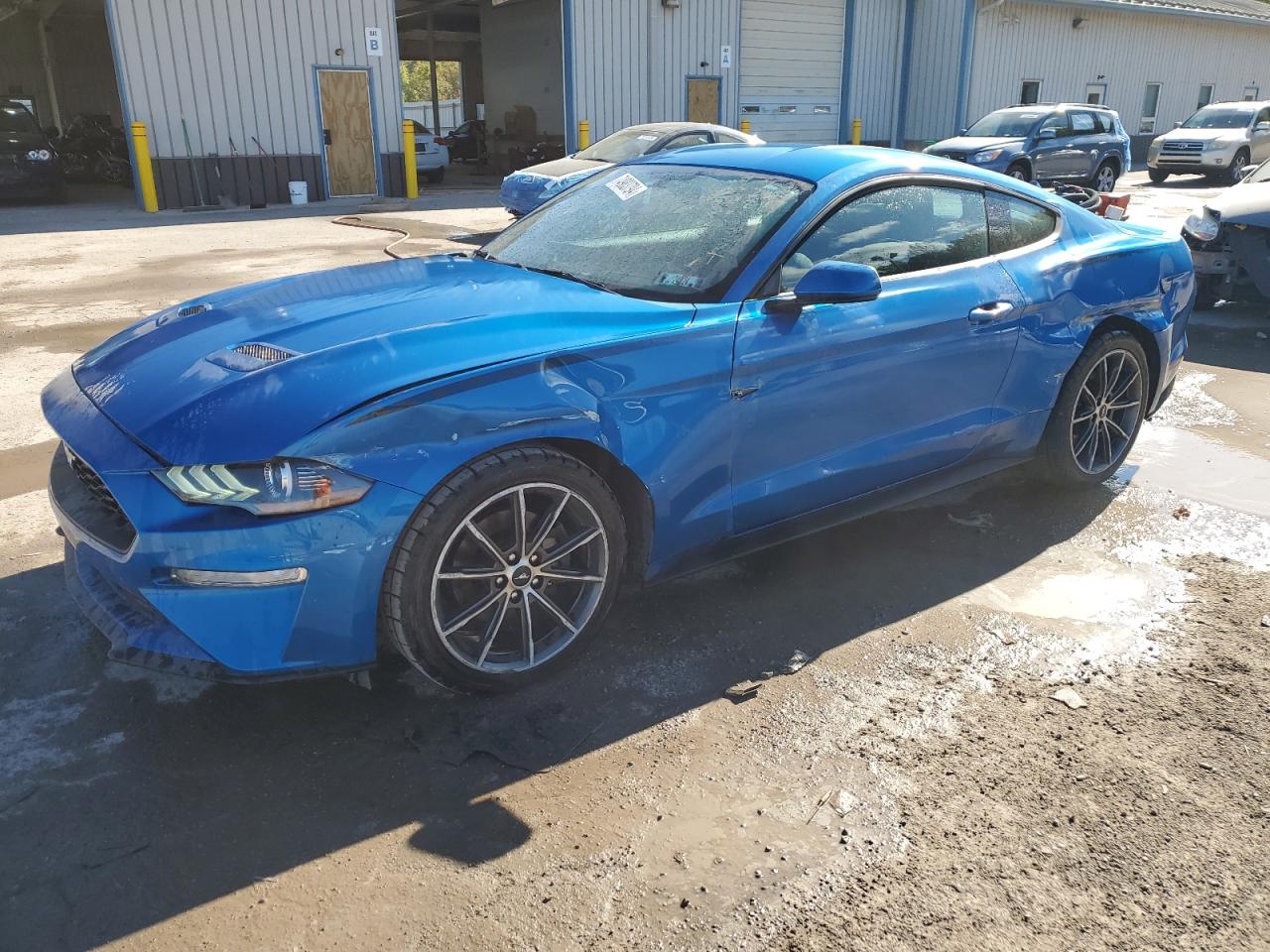 FORD MUSTANG 2019
