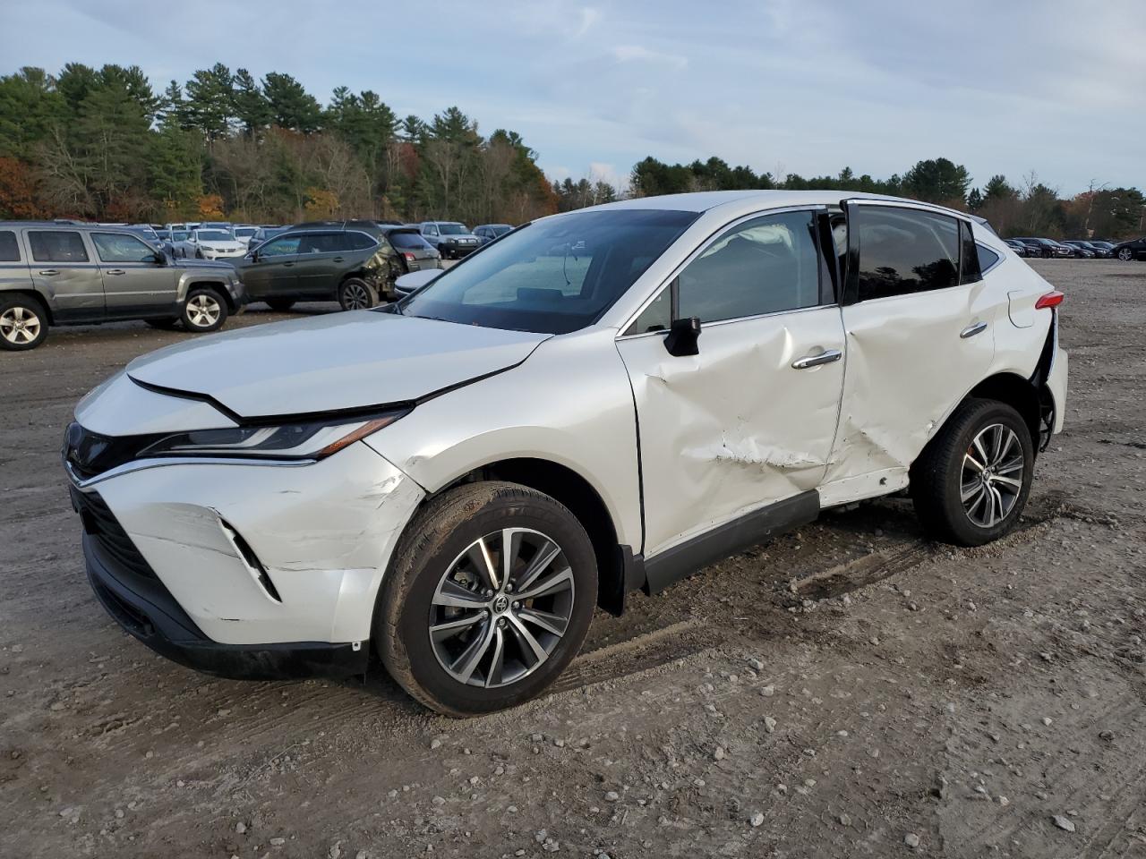 TOYOTA VENZA LE 2024