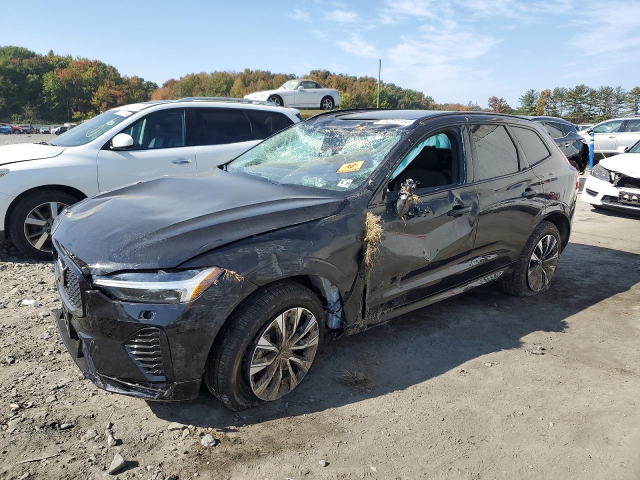 VOLVO XC60 PLUS 2024