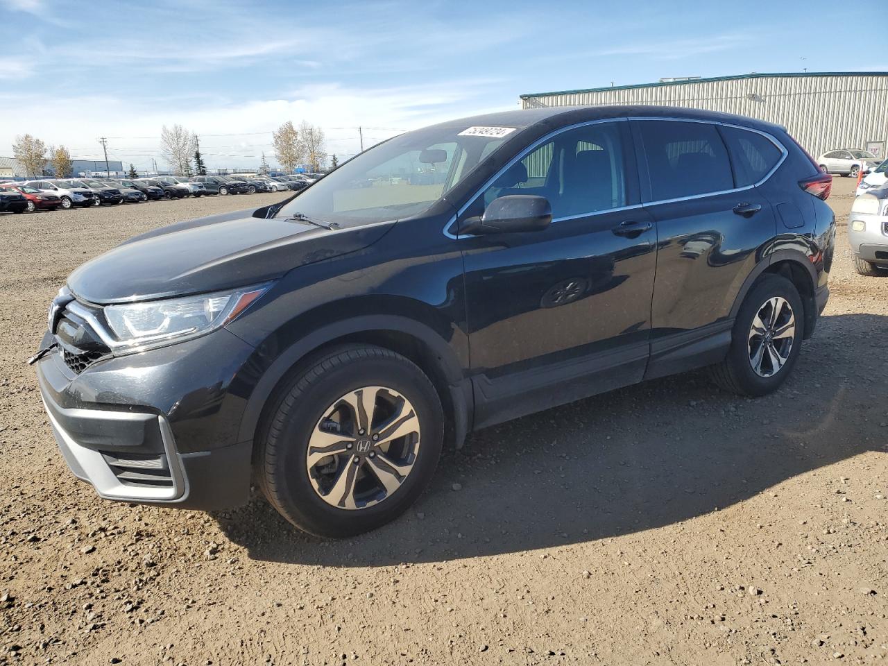 HONDA CR-V LX 2020