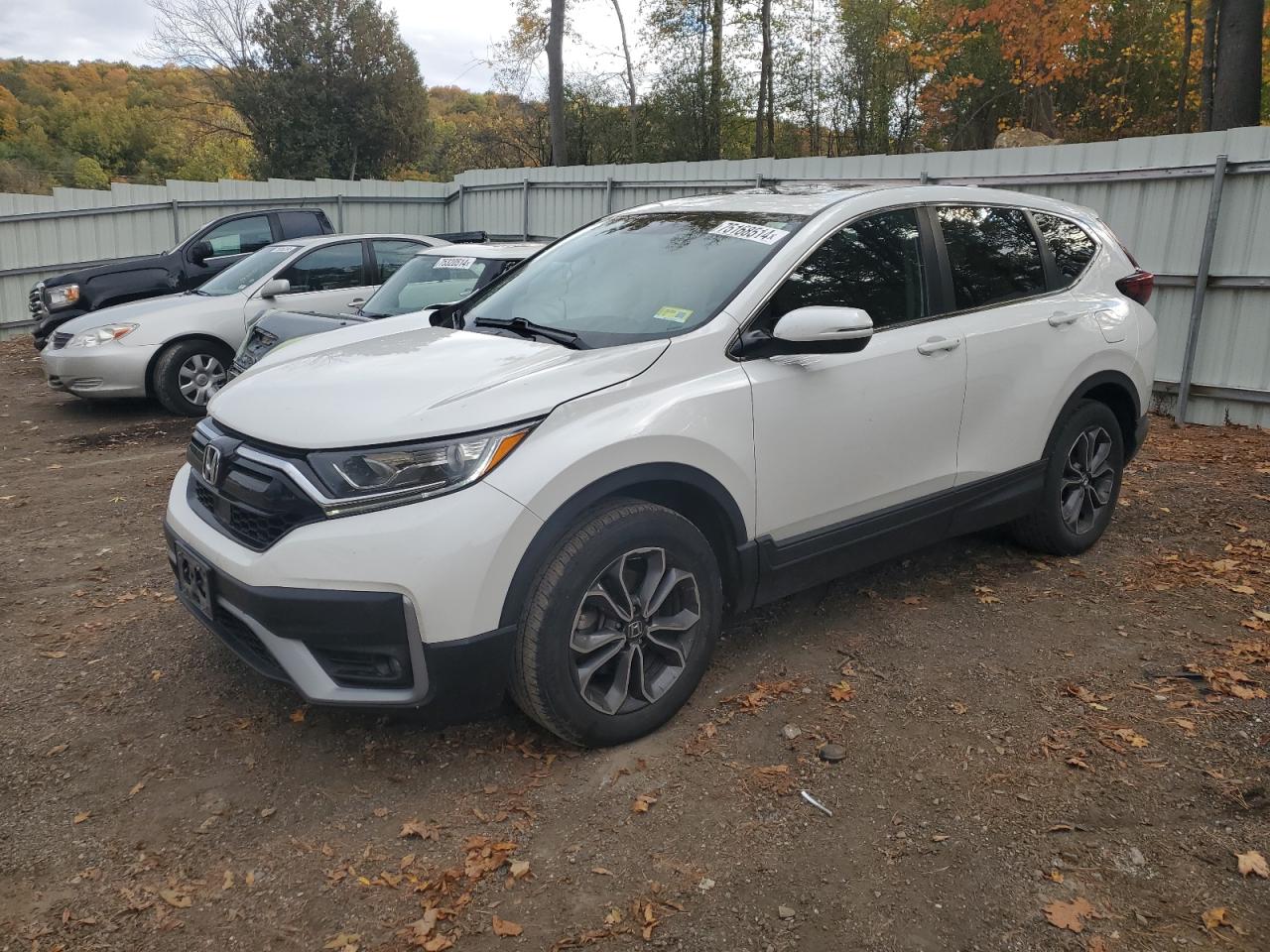HONDA CR-V EX 2020