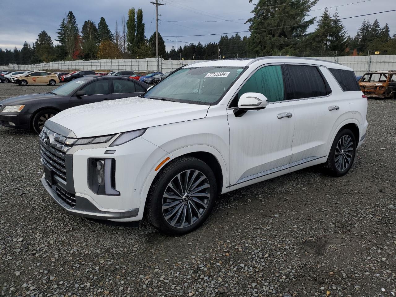 HYUNDAI PALISADE C 2023
