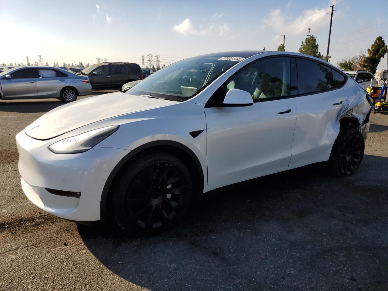TESLA MODEL Y 2021