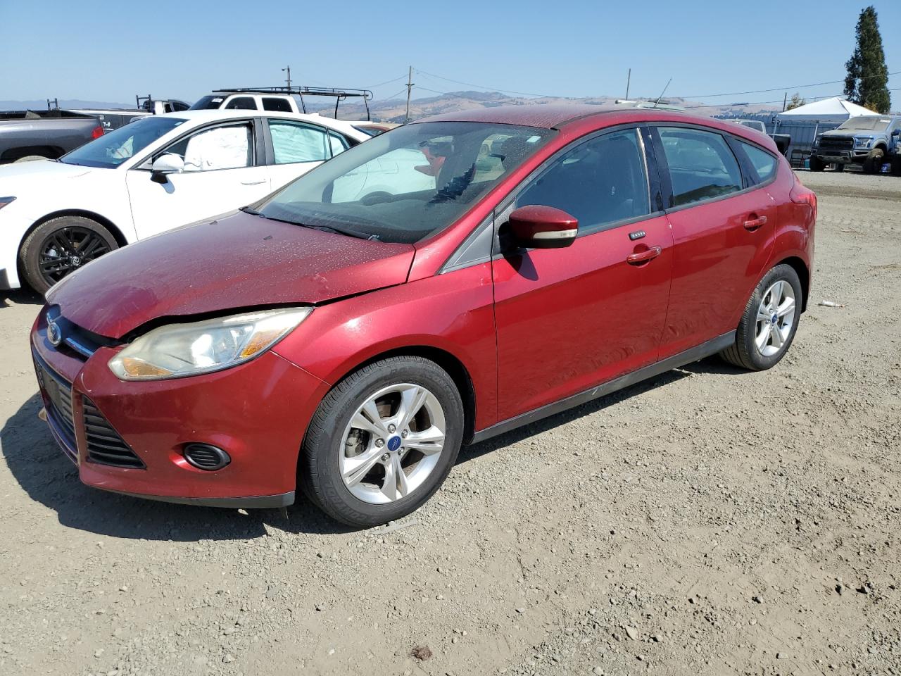 FORD FOCUS SE 2014