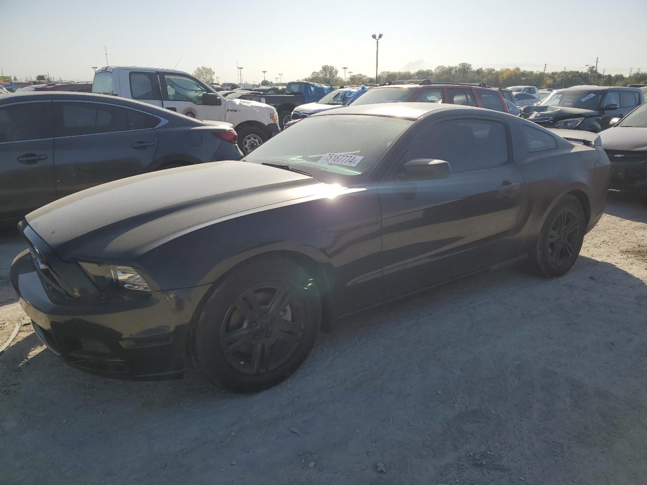 FORD MUSTANG 2014