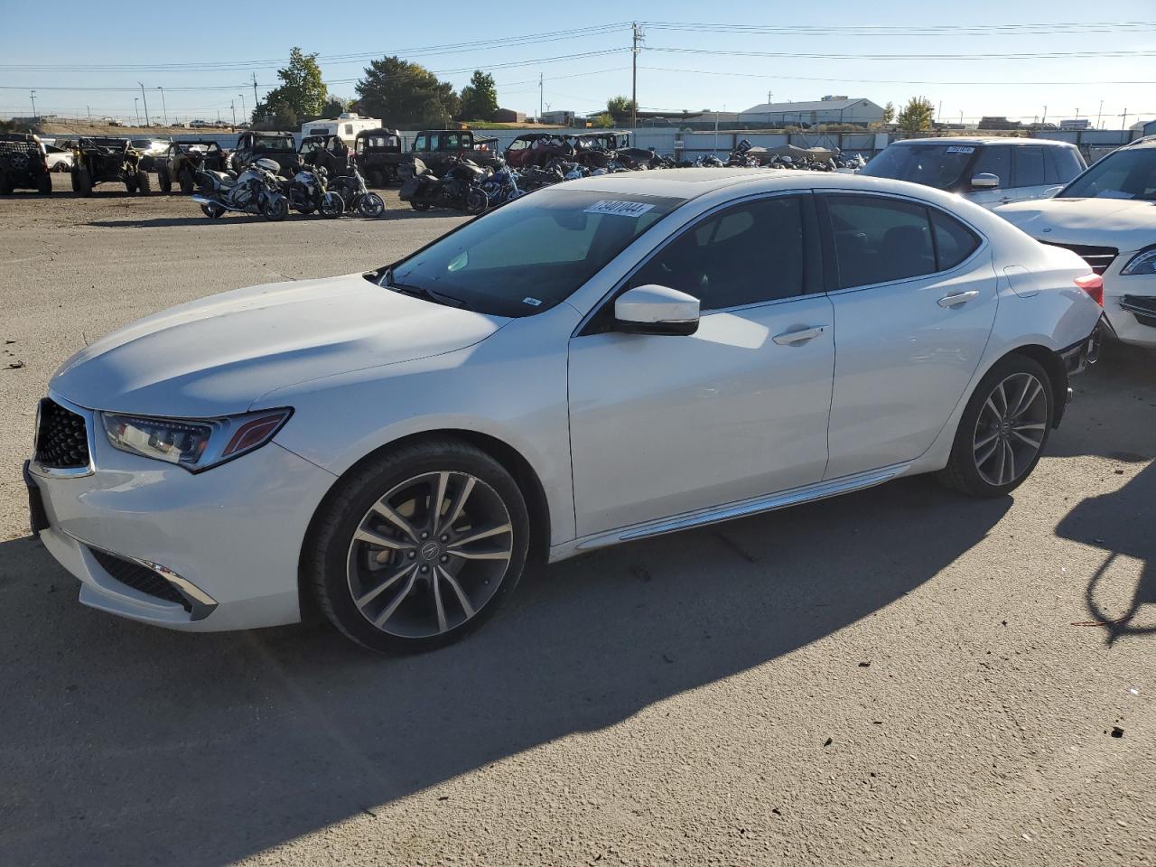 ACURA TLX TECHNO 2019