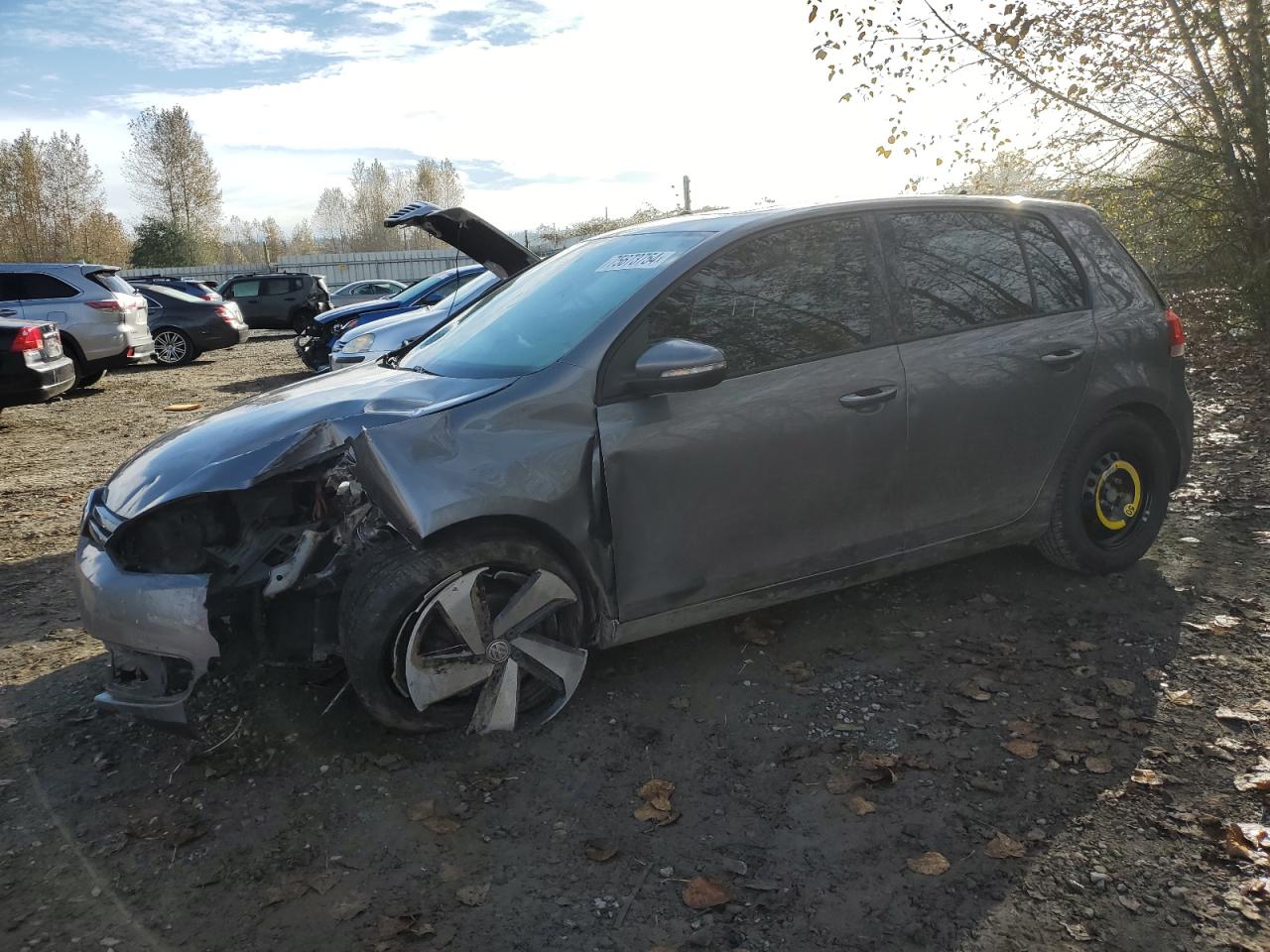 VOLKSWAGEN GOLF 2012
