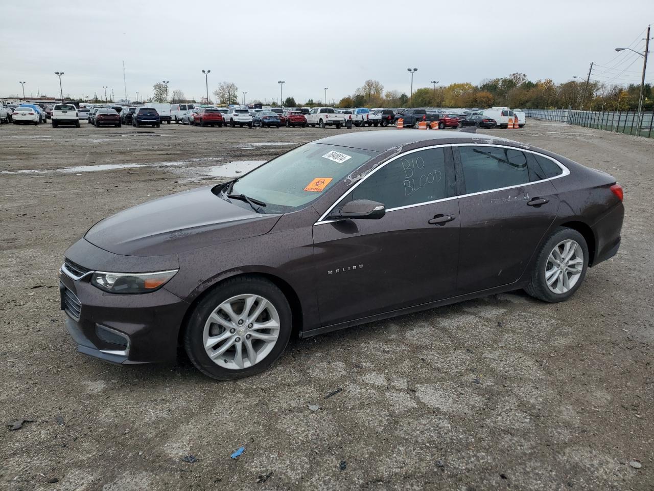 CHEVROLET MALIBU 2016