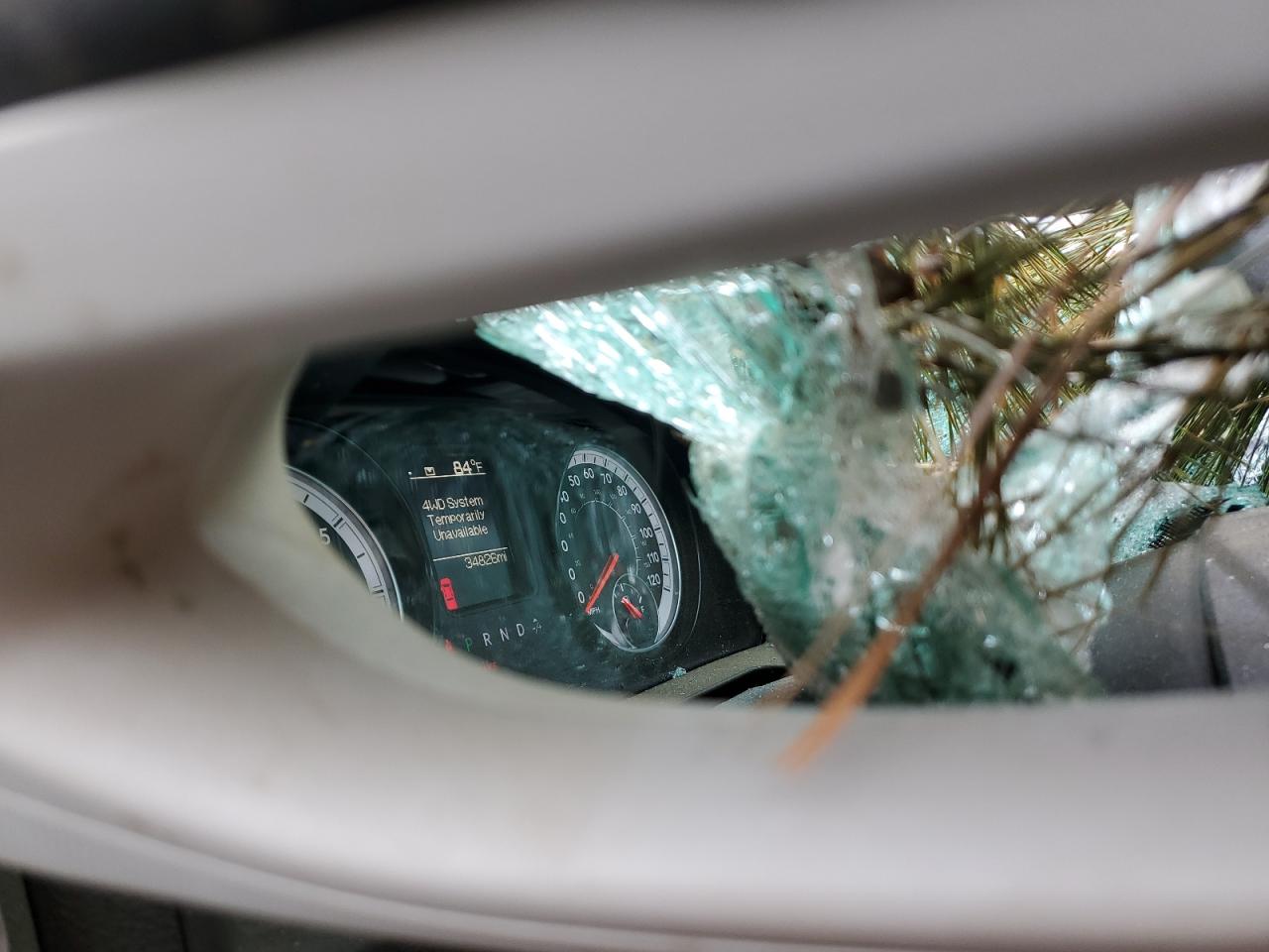 DayDrive