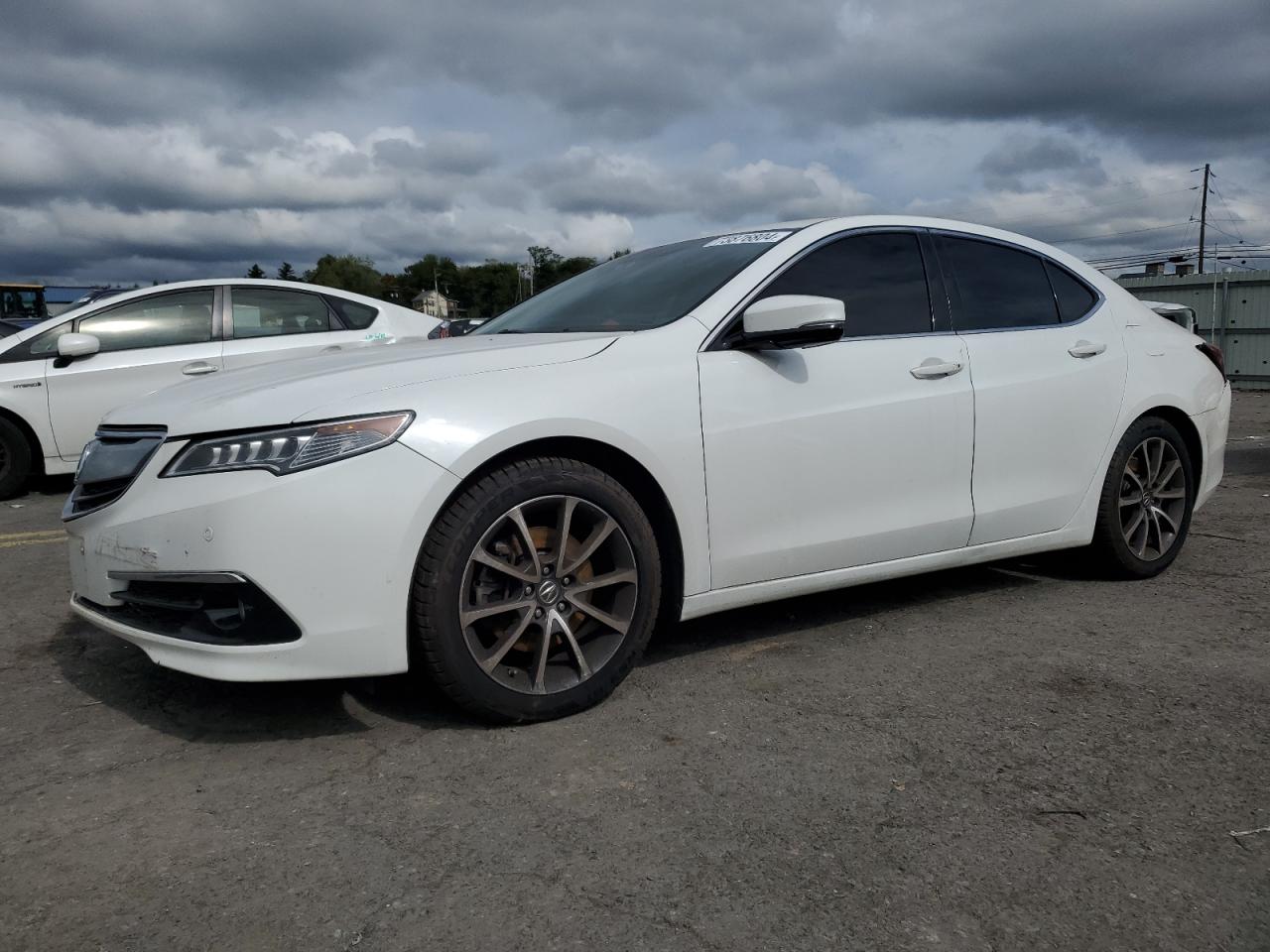 ACURA TLX ADVANC 2015