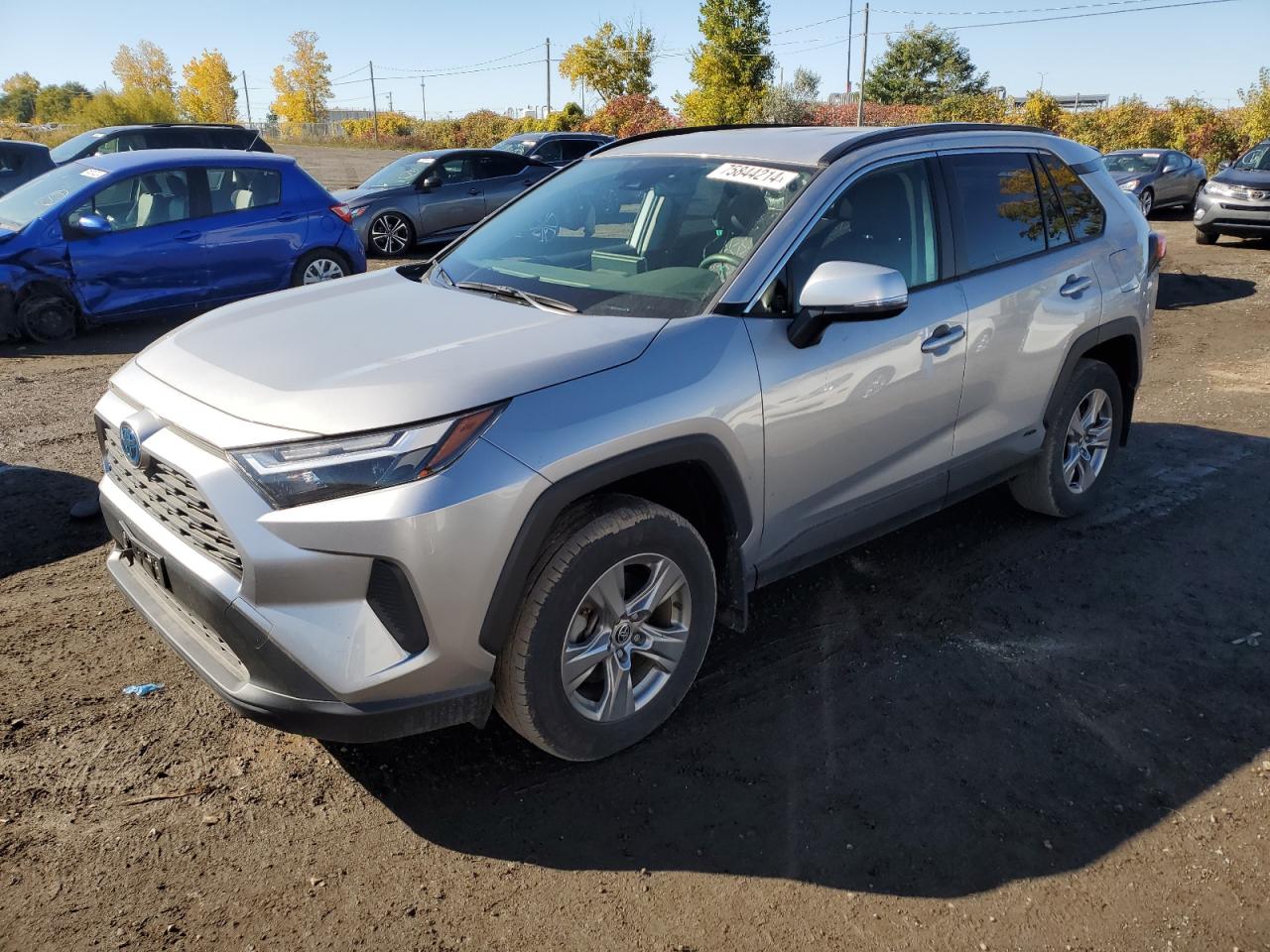 TOYOTA RAV4 2023