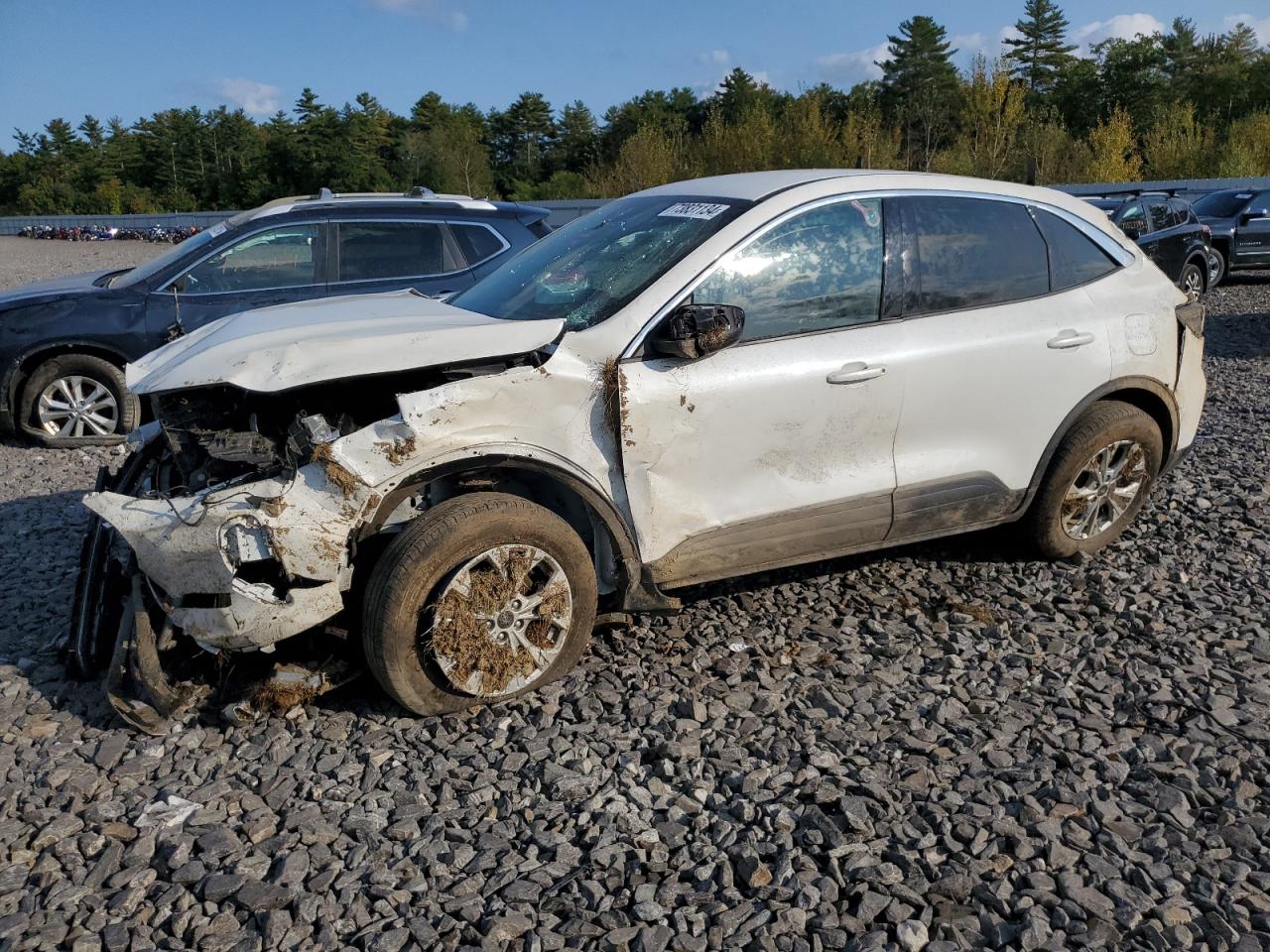 FORD ESCAPE ACT 2023