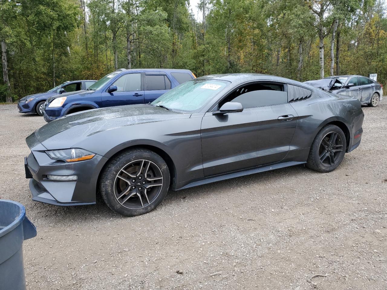 FORD MUSTANG 2019