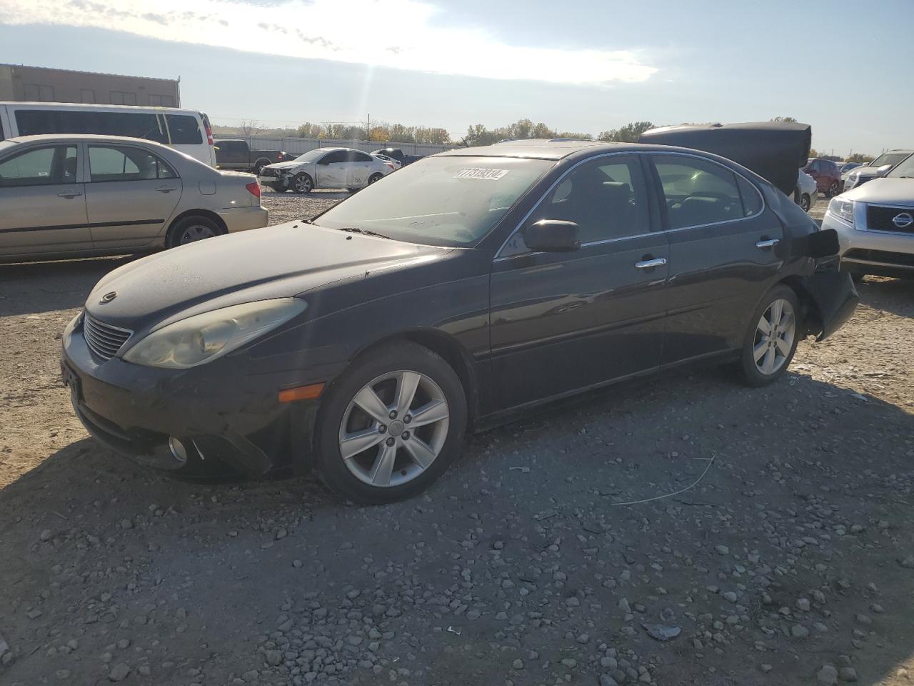 LEXUS ES 330 2005
