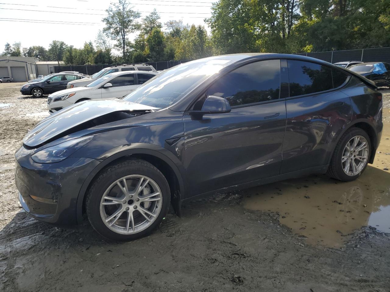 TESLA MODEL Y 2024