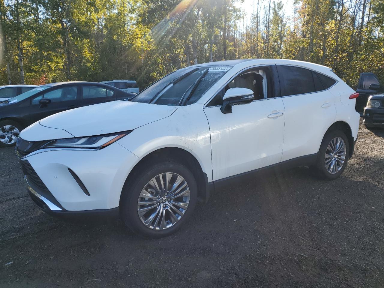 TOYOTA VENZA LE 2024