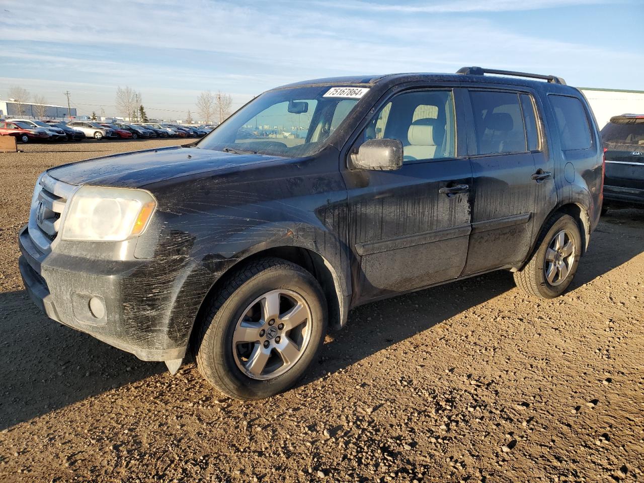 HONDA PILOT EXL 2010