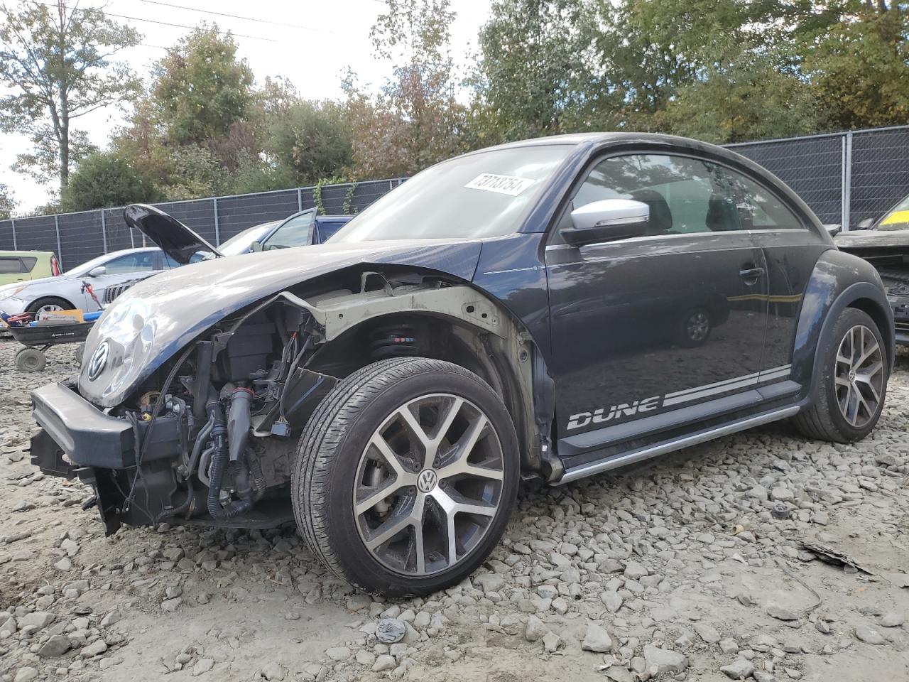 VOLKSWAGEN BEETLE DUN 2018
