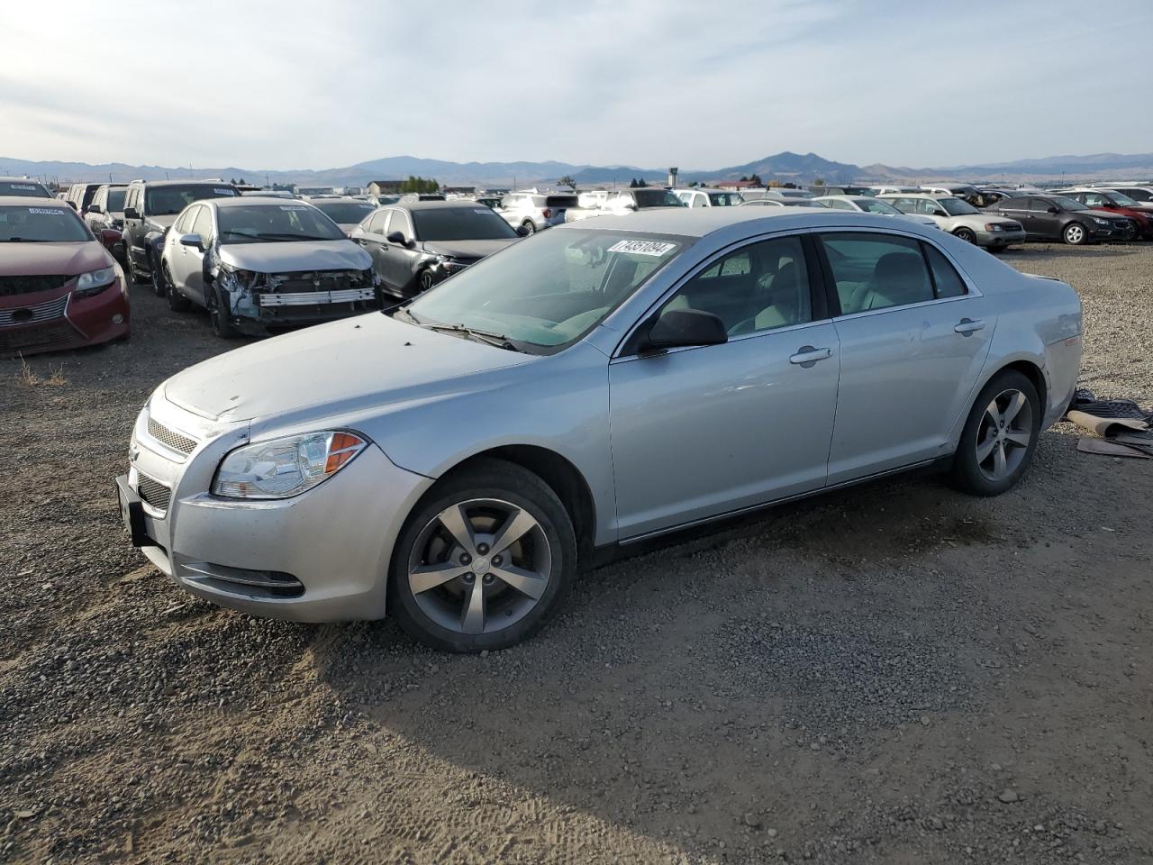 CHEVROLET MALIBU LS 2011