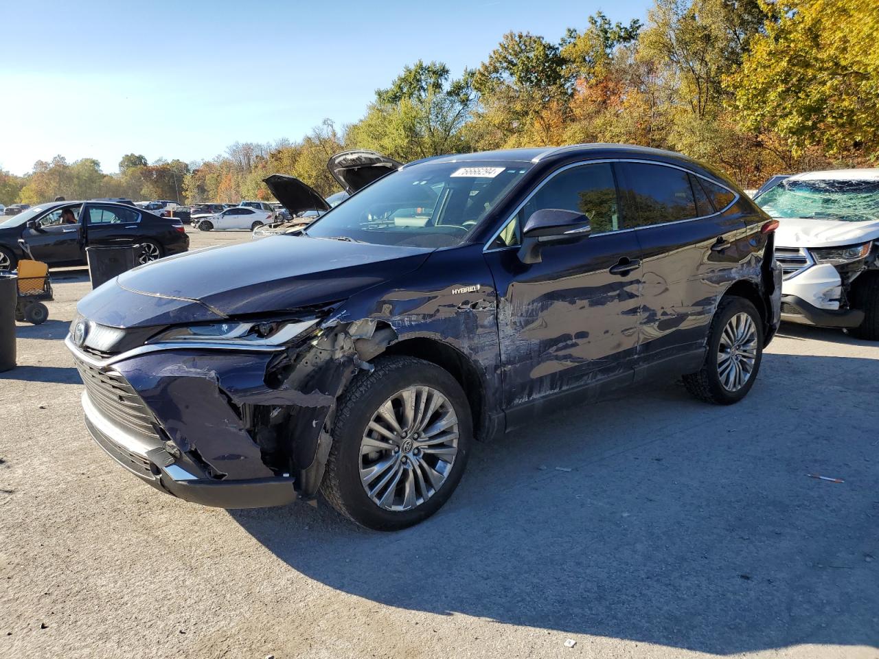 TOYOTA VENZA LE 2021