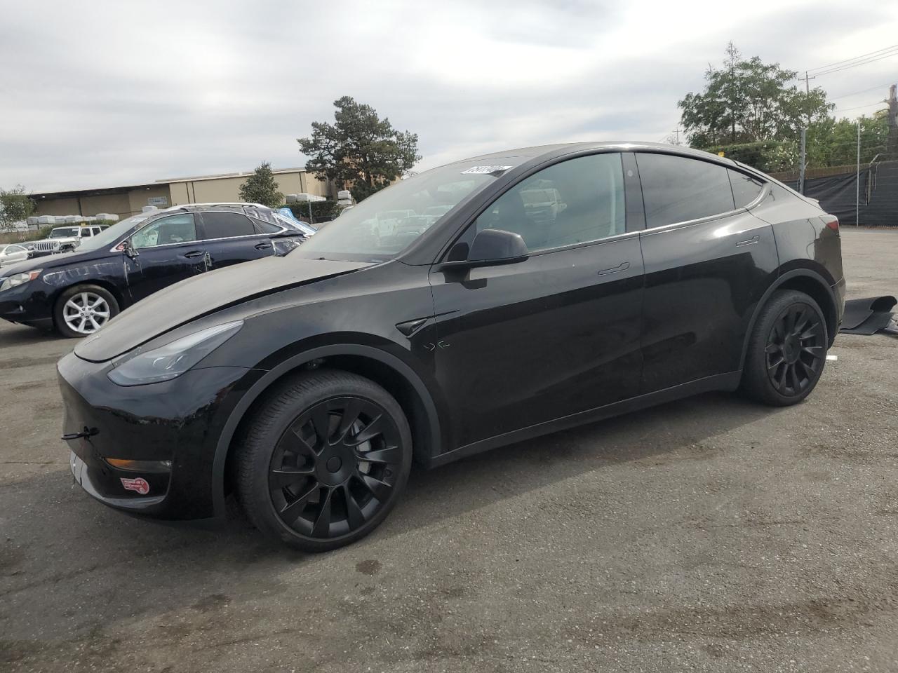 TESLA MODEL Y 2023